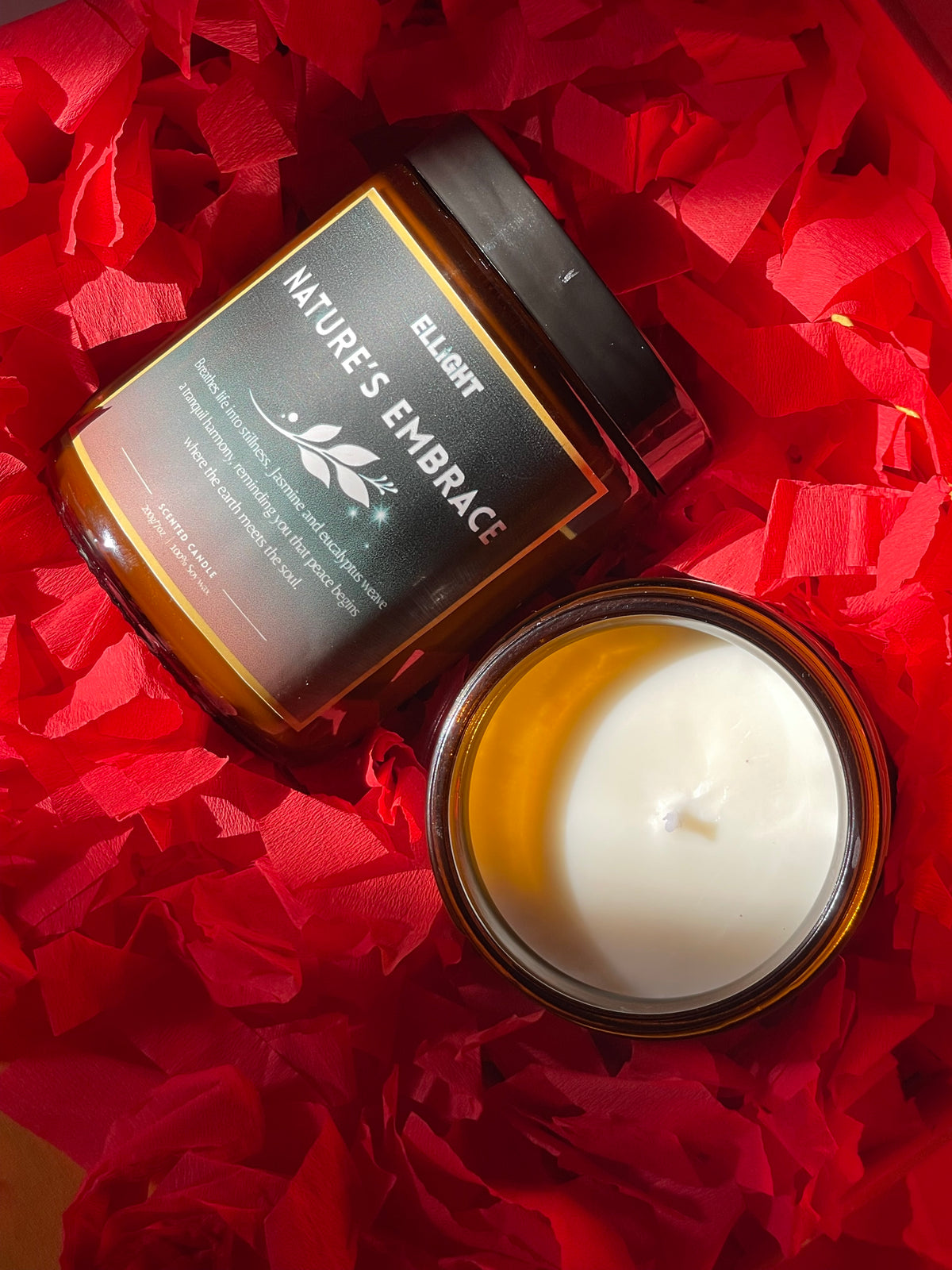 Nature’s Embrace Candle